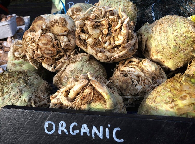 Photography of organic celeriac vegetable.