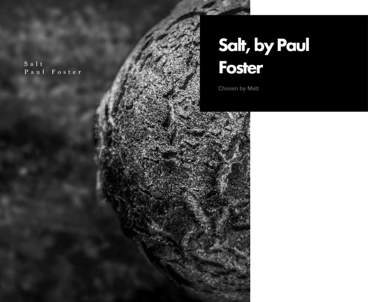 Photograph of Salt, a cookbook by Paul Foster
