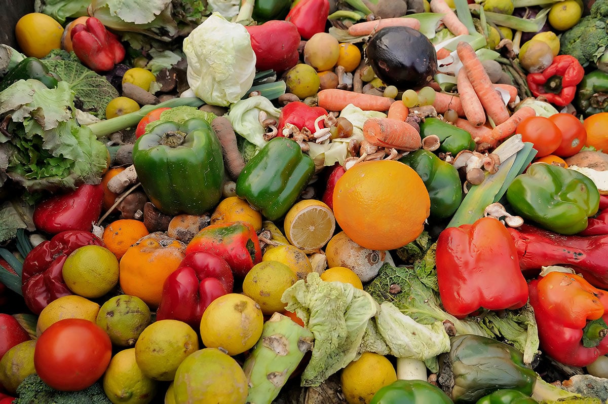 food waste in catering