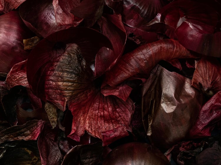 Image of onion peels to illustrate food waste