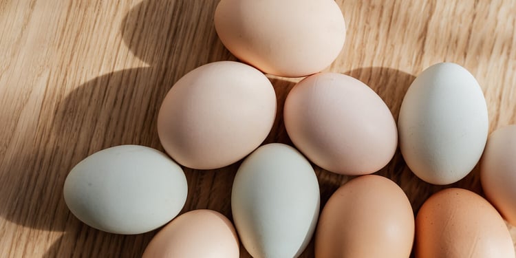 photography of eggs