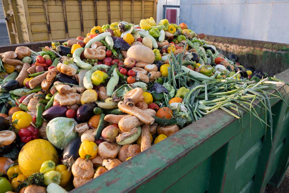 A large pile of vegetables