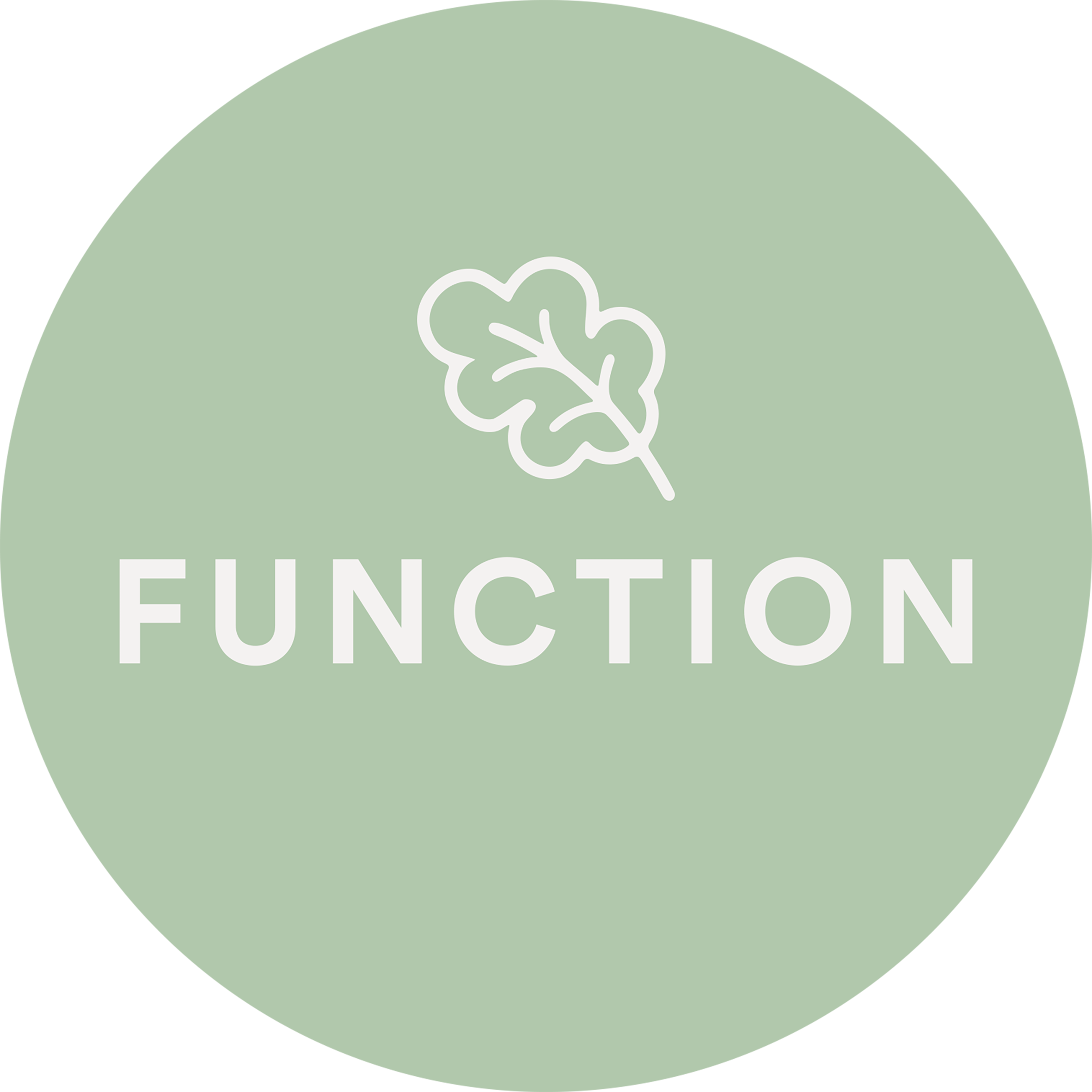 FUNCTION LOGO RGB