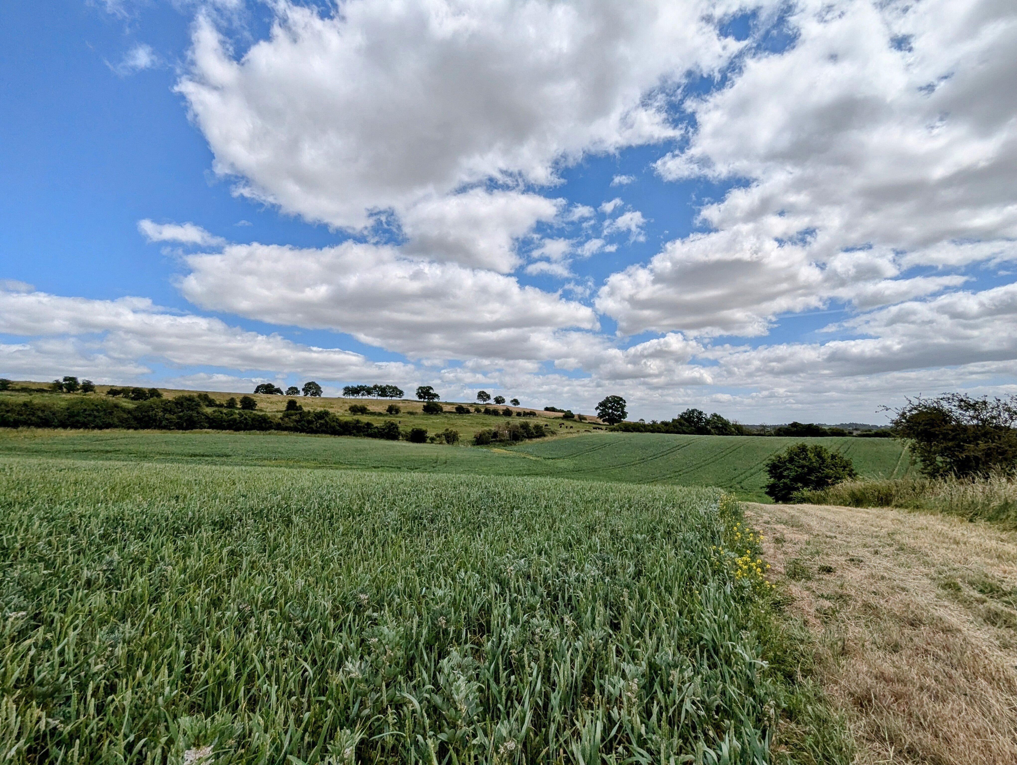 Sustainable Sourcing | Where do our ingredients come from?