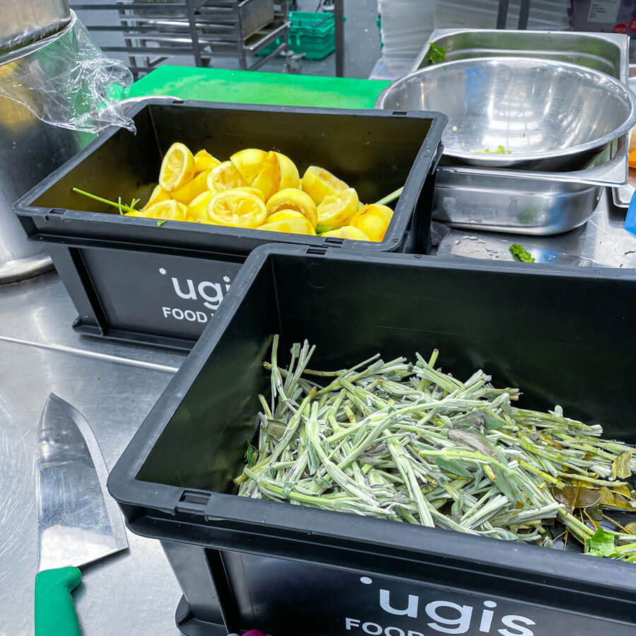 Boxes of food waste